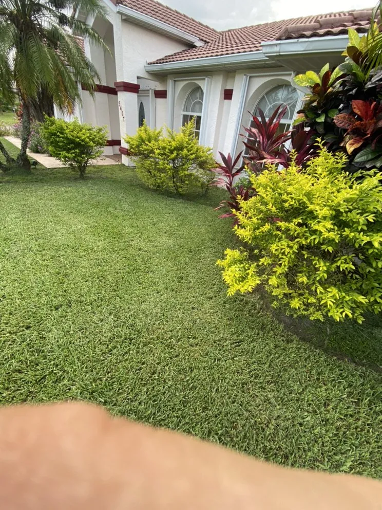 Affordable yard cleanup service for homes across Fort Pierce, FL - Ash Landscaping