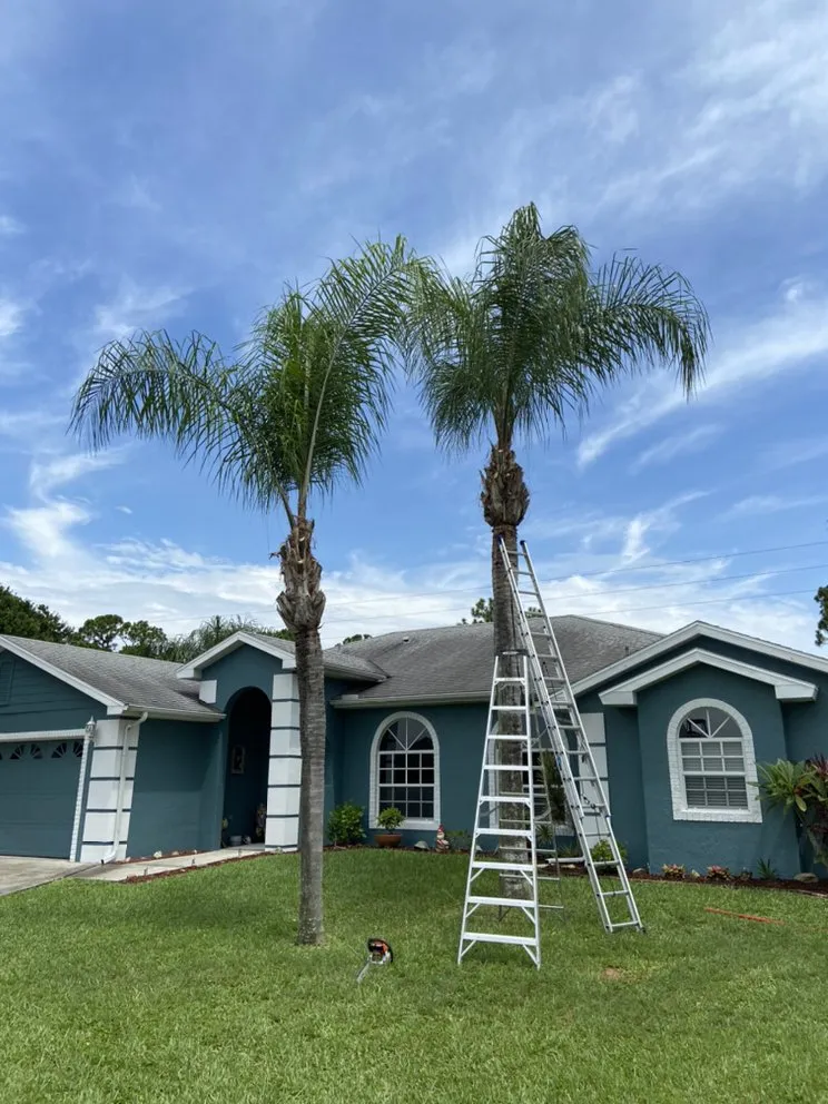 Affordable outdoor landscaping in Fort Pierce, FL by Ash Landscaping