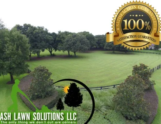 Trusted lawn care service for homes in Lakeland, FL by Ash Lawn Solutions