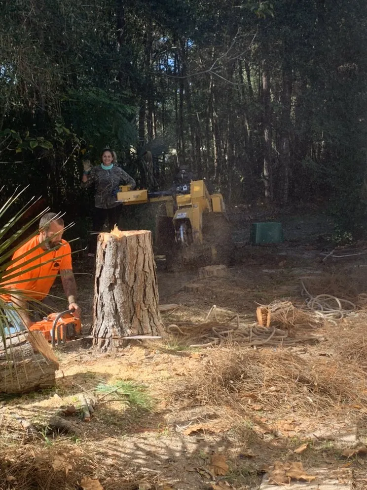 Top-rated landscaping services for outdoor upgrades in South Daytona, FL by Ash Outdoor Services