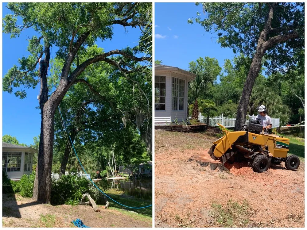 Top-rated lawn mowing service with custom design across South Daytona, FL - Ash Outdoor Services