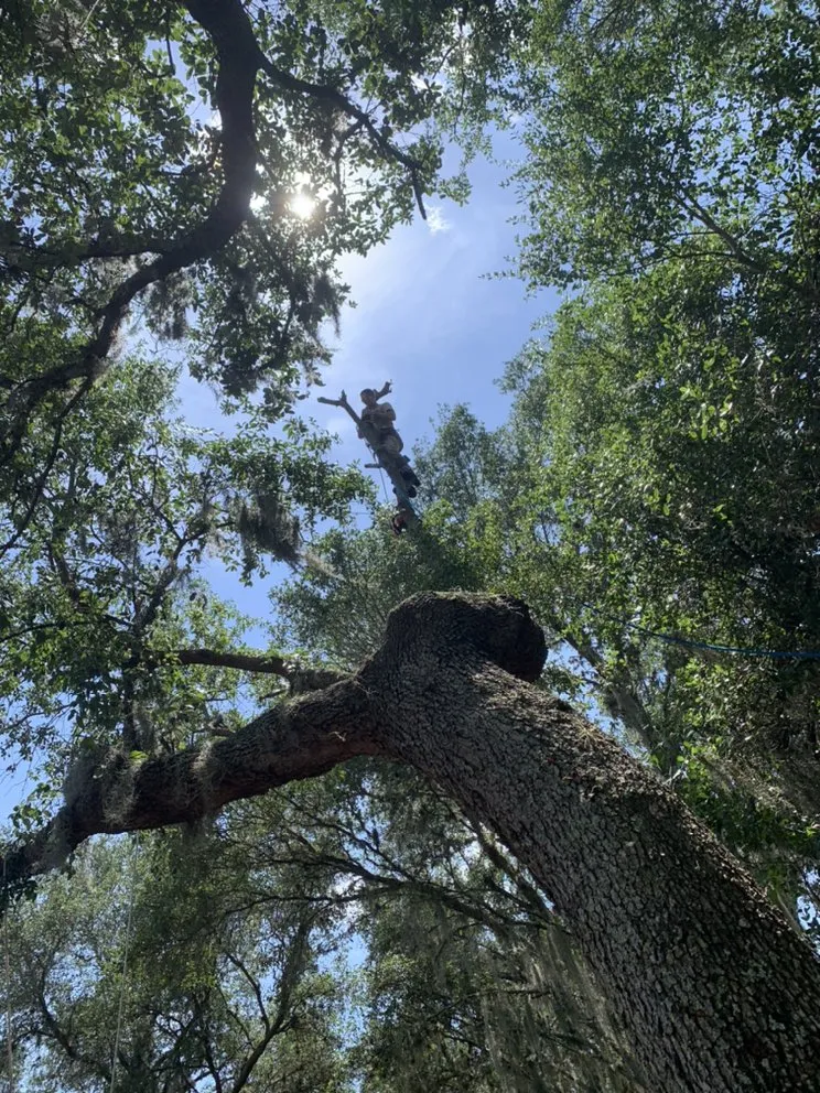 Trusted lawn mowing service in South Daytona, FL - Ash Outdoor Services