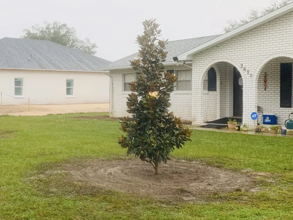 Professional lawn mowing service in South Daytona, FL - Ash Outdoor Services