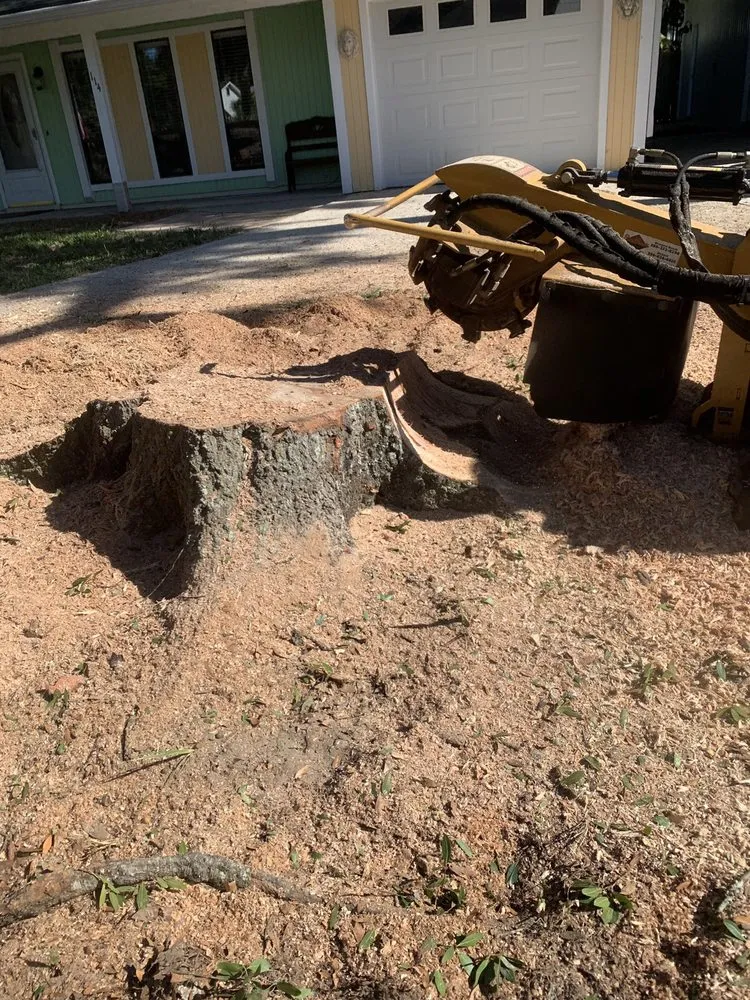 Expert residential landscaping experts serving South Daytona, FL - Ash Outdoor Services