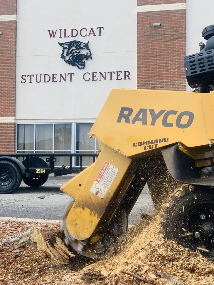 Professional residential landscaping for beautiful yards in South Daytona, FL by Ash Outdoor Services