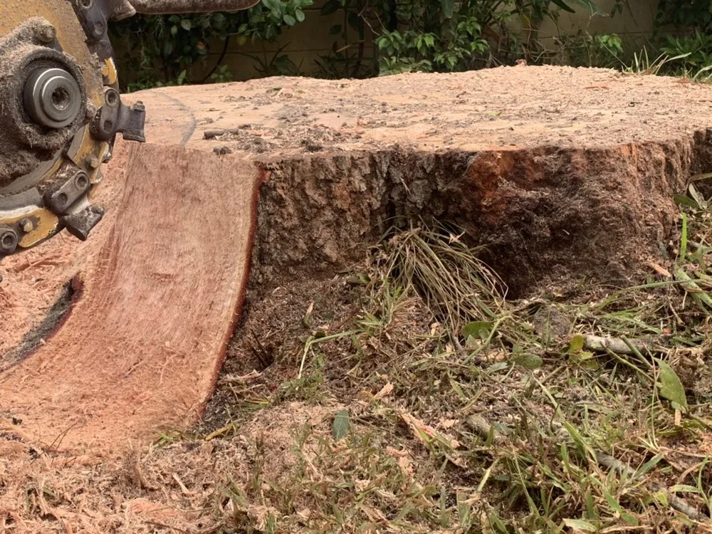 Top-rated landscaping services experts serving South Daytona, FL - Ash Outdoor Services