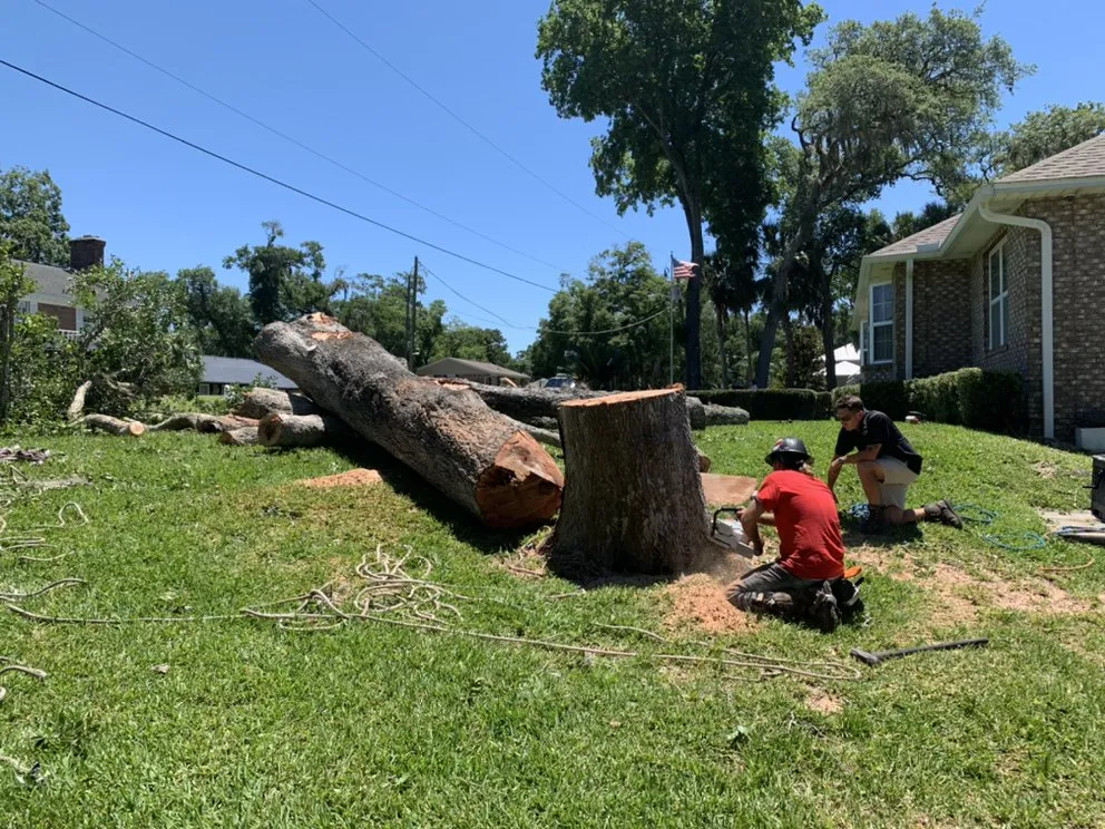 Reliable residential landscaping in South Daytona, FL by Ash Outdoor Services