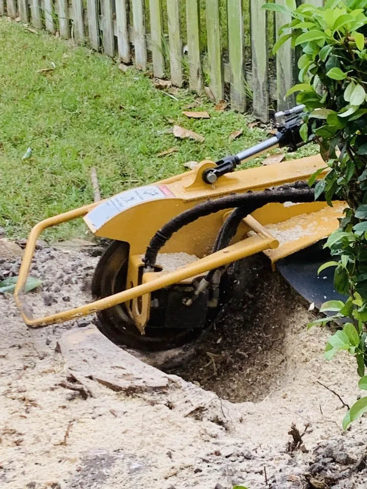 Expert landscaping services in South Daytona, FL - Ash Outdoor Services