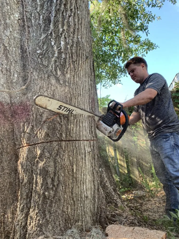 Top-rated yard cleanup service for outdoor upgrades across South Daytona, FL - Ash Outdoor Services