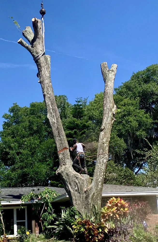 Custom lawn mowing service in South Daytona, FL - Ash Outdoor Services