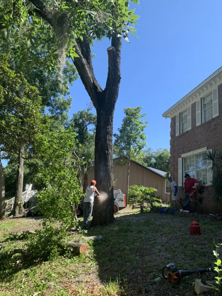 Expert residential landscaping with custom design across South Daytona, FL - Ash Outdoor Services