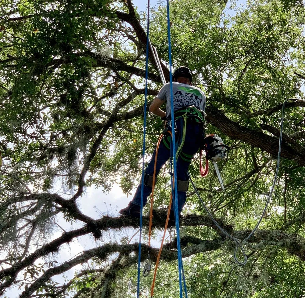 Custom lawn care service experts serving South Daytona, FL - Ash Outdoor Services