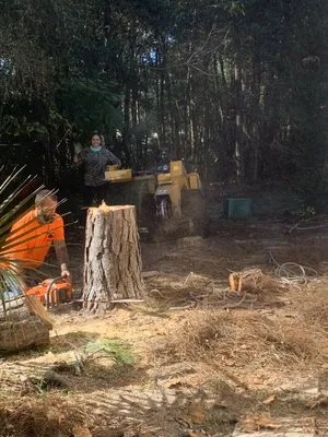 Ash Outdoor Services