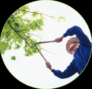 Custom garden landscaping for homes in Elgin, IL by Ash Tree Service & Landscaping