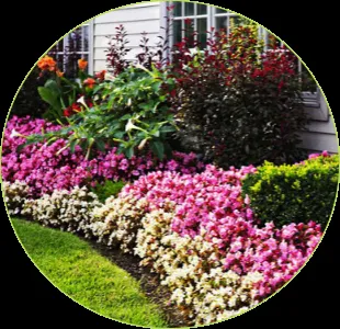 Professional landscape design near you across Elgin, IL - Ash Tree Service & Landscaping
