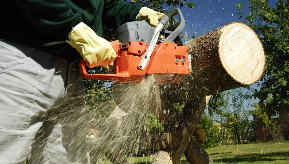 Trusted landscape installation in Elgin, IL by Ash Tree Service & Landscaping