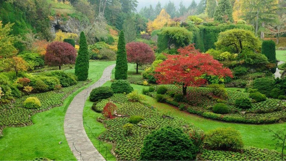 Expert yard cleanup service for outdoor upgrades in Elgin, IL by Ash Tree Service & Landscaping