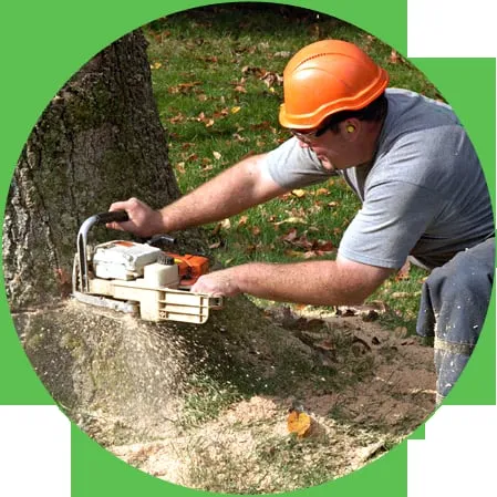 Custom lawn care service experts serving Elgin, IL - Ash Tree Service & Landscaping