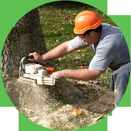 Trusted lawn mowing service for beautiful yards in Elgin, IL by Ash Tree Service & Landscaping