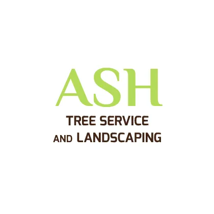 Affordable yard cleanup service for beautiful yards in Elgin, IL by Ash Tree Service & Landscaping