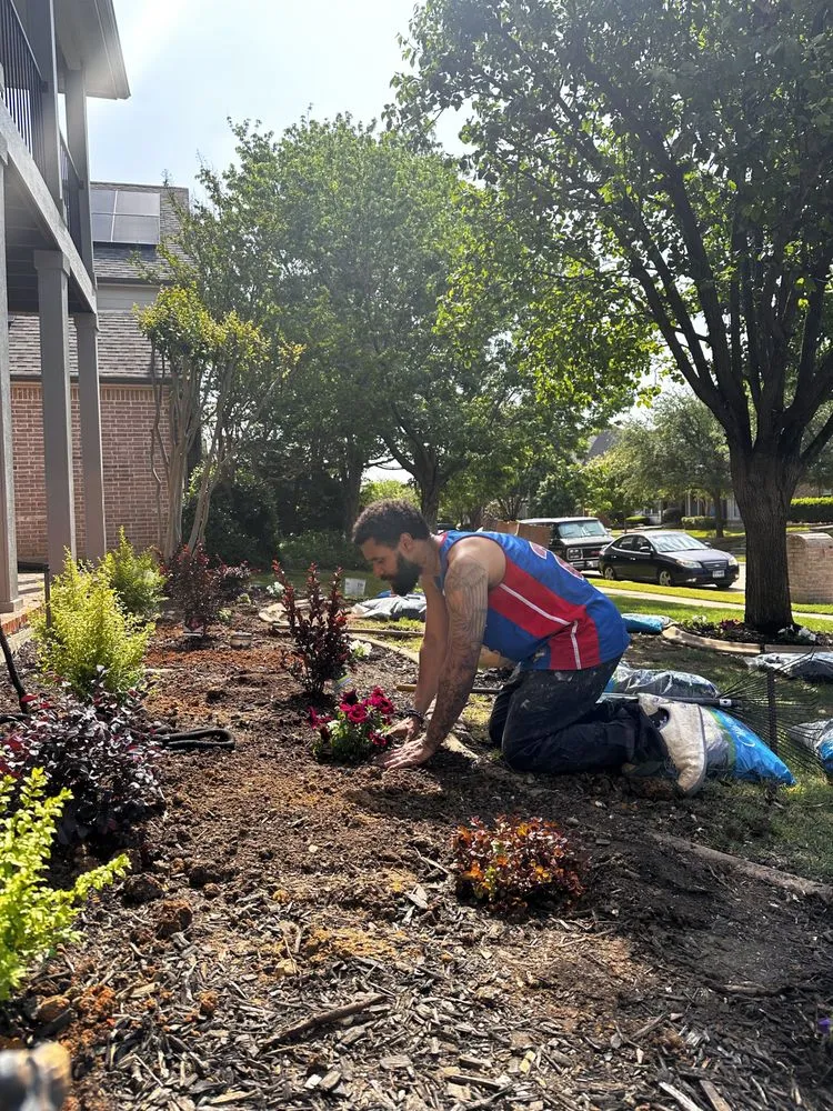 Expert landscape design for beautiful yards in Allen, TX by A'Sha-Sha Landscaping