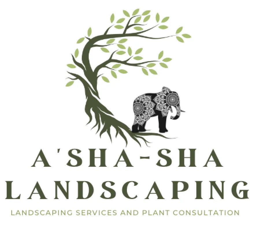 Expert garden landscaping experts serving Allen, TX - A'Sha-Sha Landscaping