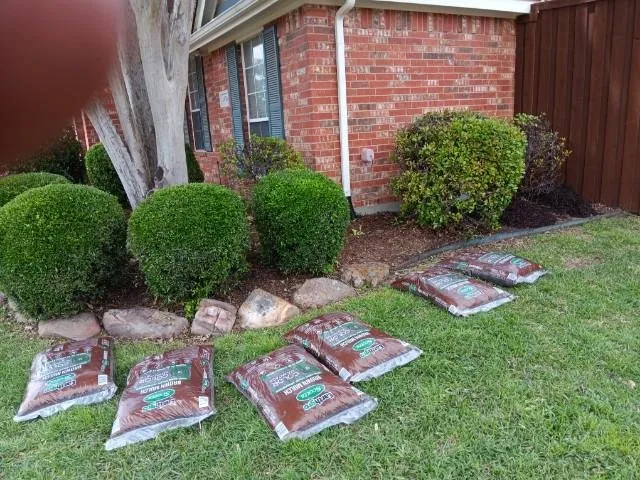 Professional landscape installation for outdoor upgrades in Allen, TX by A'Sha-Sha Landscaping