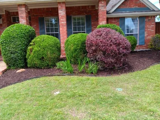 Professional landscape installation for residential properties in Allen, TX by A'Sha-Sha Landscaping
