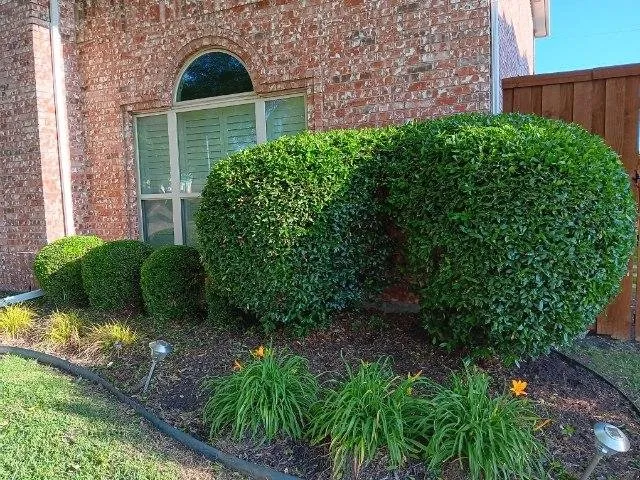 Custom garden landscaping experts serving Allen, TX - A'Sha-Sha Landscaping