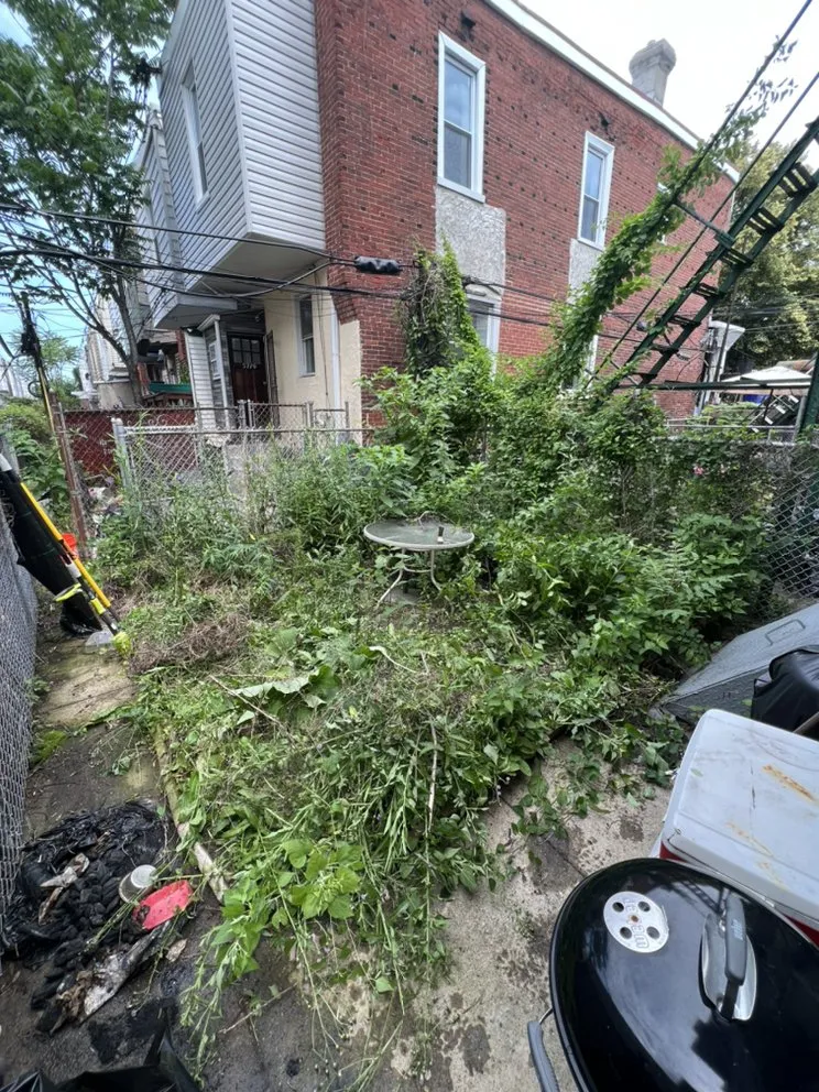 Reliable lawn mowing service in Pennsauken Township, NJ - Ashanti Grows