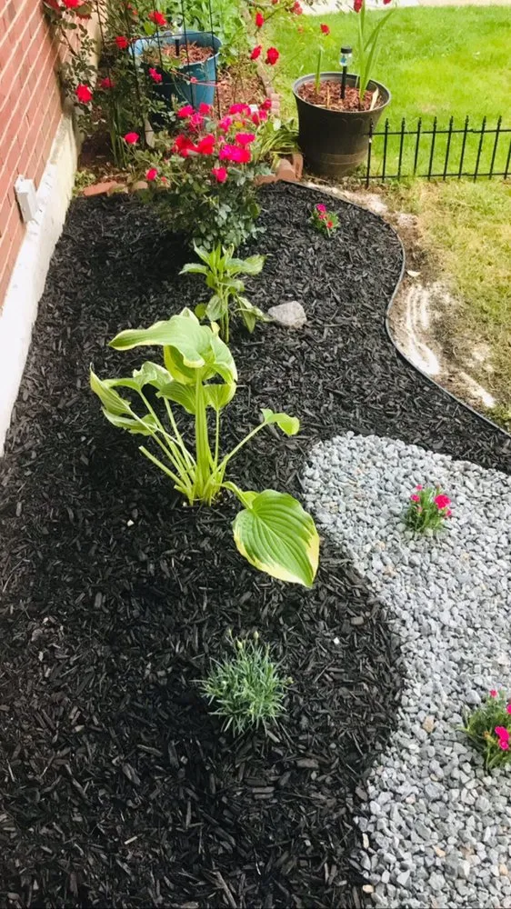 Reliable landscape design for outdoor upgrades in Pennsauken Township, NJ by Ashanti Grows