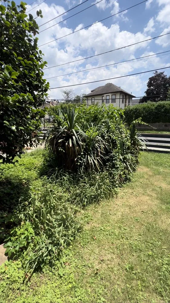 Trusted landscaping services for year-round maintenance in Pennsauken Township, NJ by Ashanti Grows