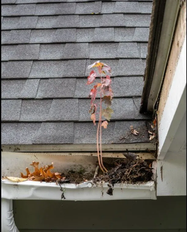 Custom outdoor landscaping experts serving Albion, MI - Ashba's Gutter & Lawn Care