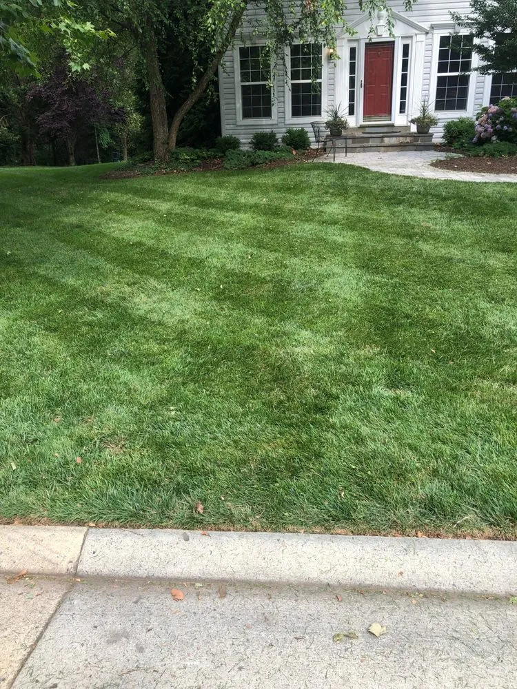 Reliable yard maintenance for year-round maintenance across Ashburn, VA - Ashburn Landscaping