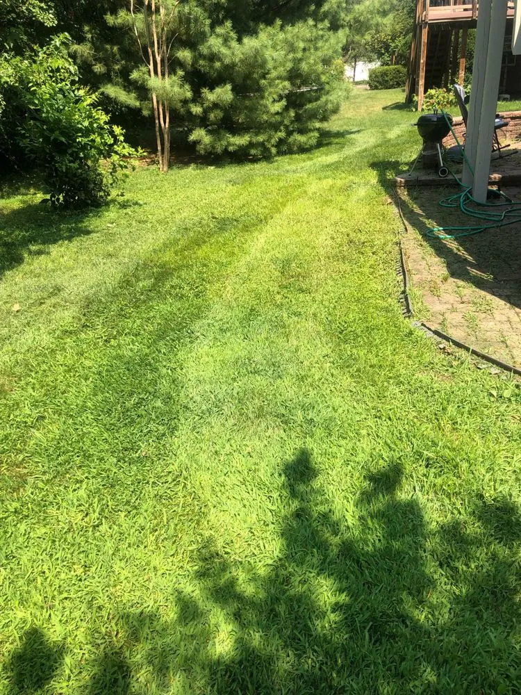 Local lawn care service for beautiful yards in Ashburn, VA by Ashburn Landscaping
