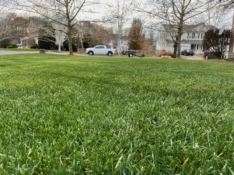 Affordable lawn care service in Ashburn, VA - Ashburn Landscaping