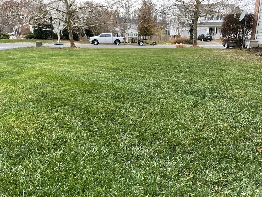 Reliable landscape installation for year-round maintenance across Ashburn, VA - Ashburn Landscaping