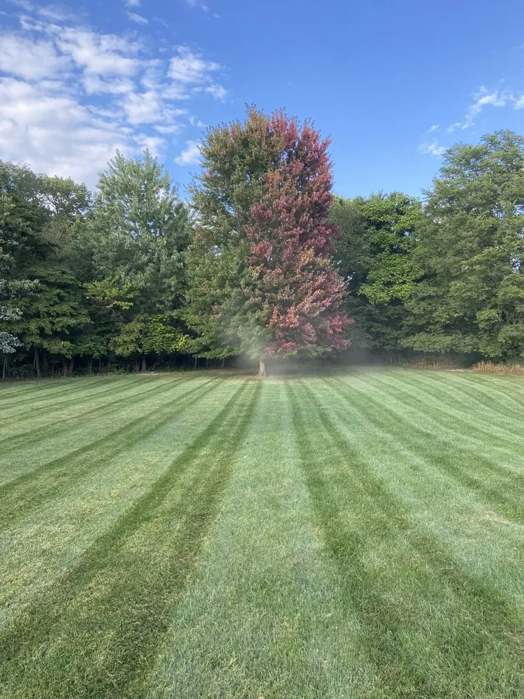 Expert lawn care service experts serving Evansville, IN - Ashby Lawn Care
