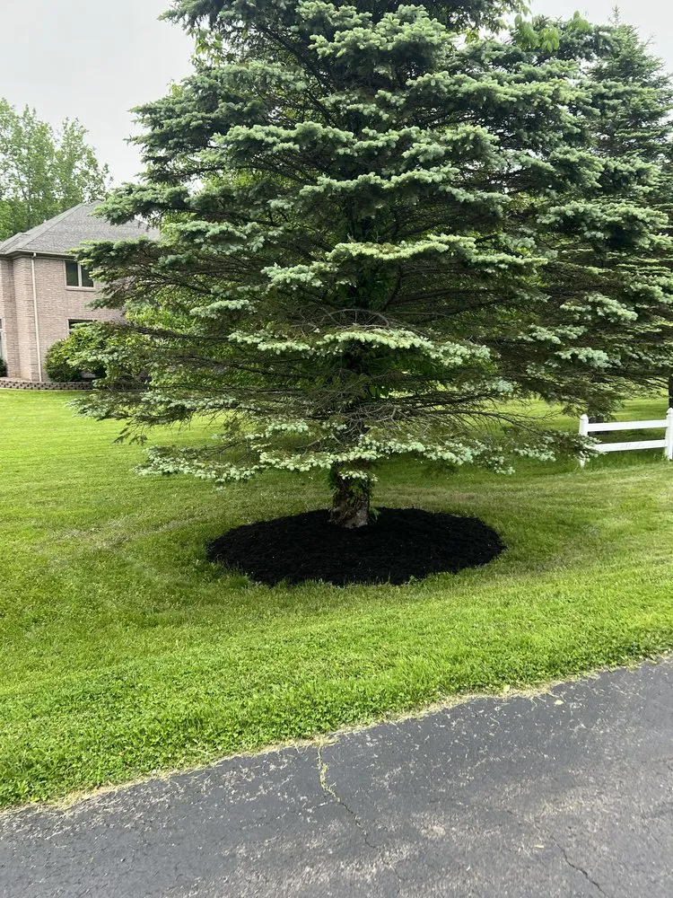 Affordable landscaping services for outdoor upgrades in Ontario, NY by Ashby’s Enterprises