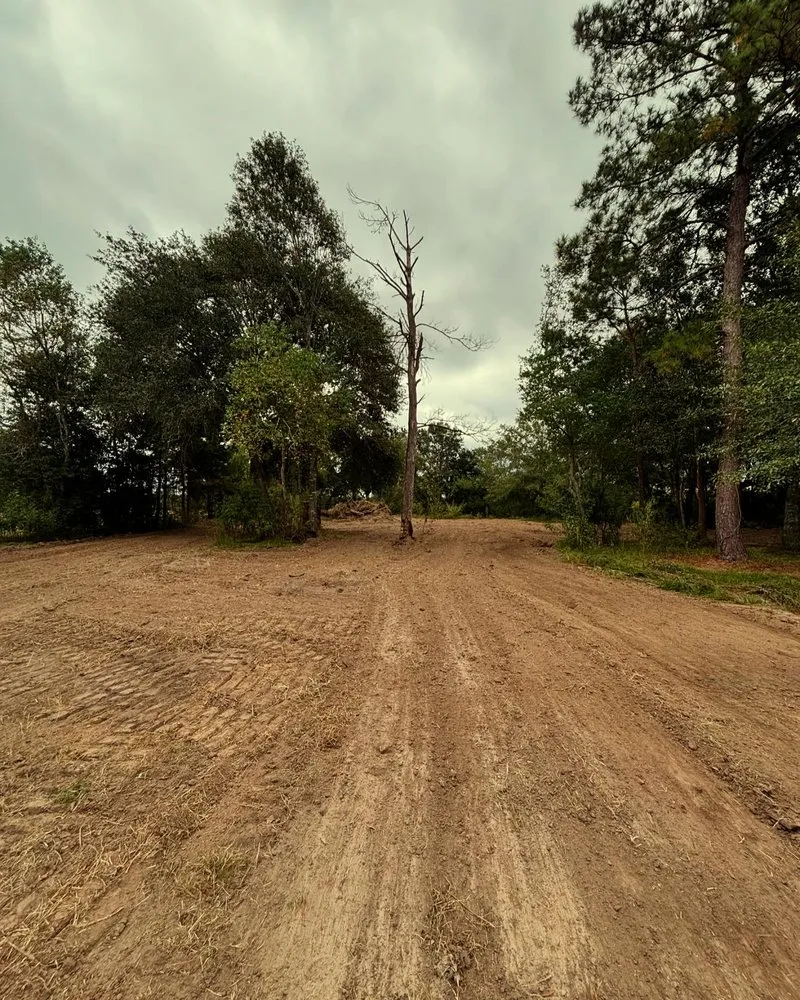 Trusted lawn mowing service in Bevil Oaks, TX - Asher Construction