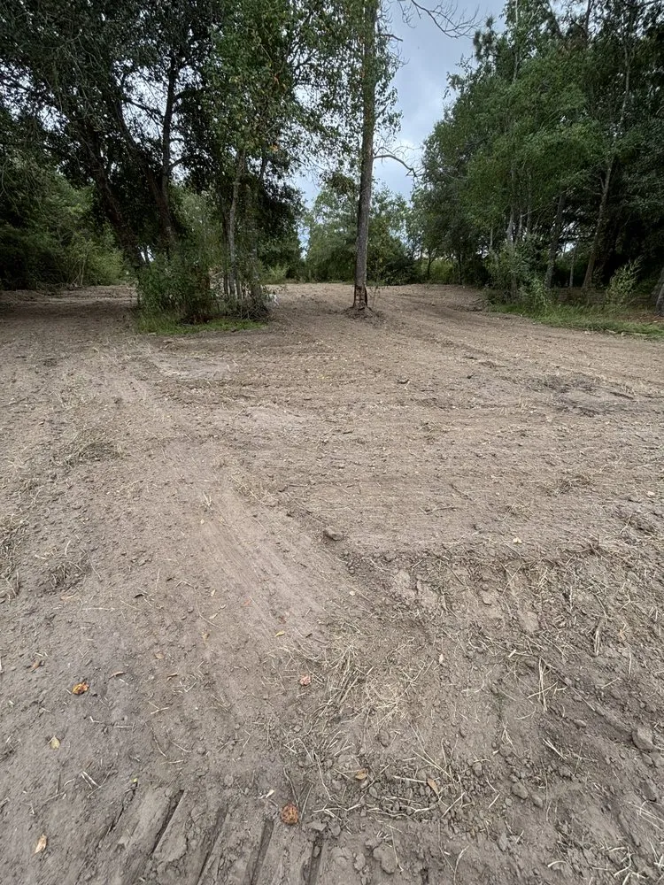 Professional yard maintenance in Bevil Oaks, TX - Asher Construction