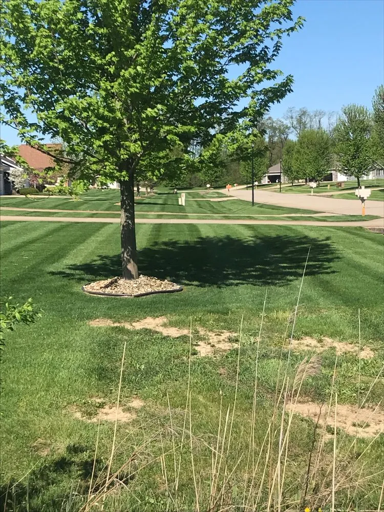 Affordable landscape installation for residential properties in Battle Creek, MI by Asher’s Yard Service