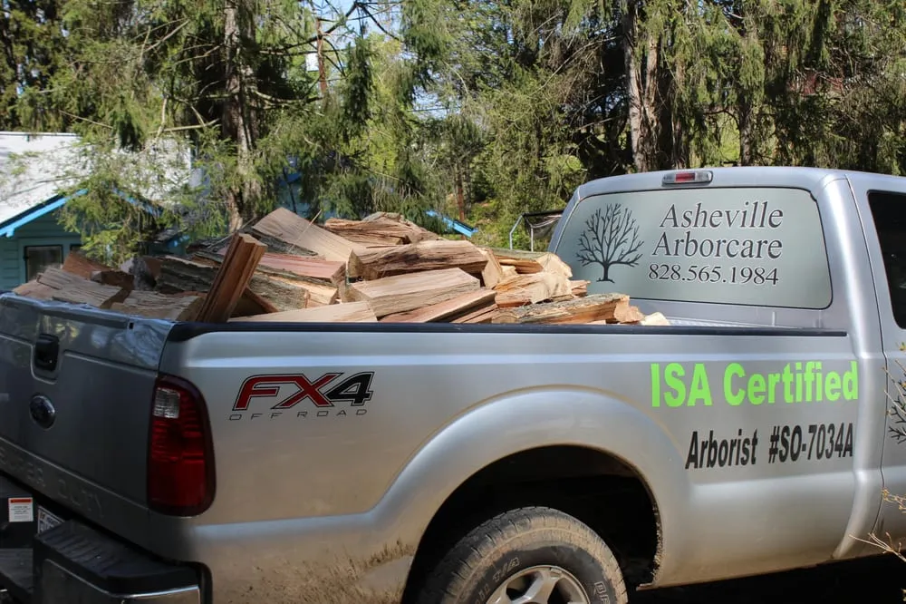 Custom landscaping services in Asheville, NC by Asheville Arborcare