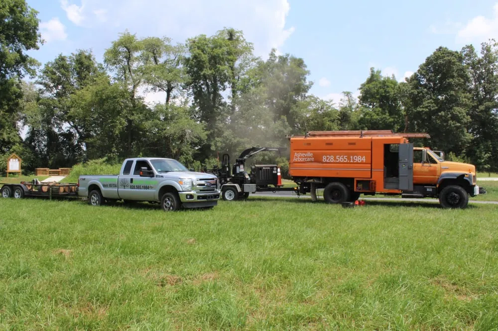 Affordable landscape installation for homes in Asheville, NC by Asheville Arborcare