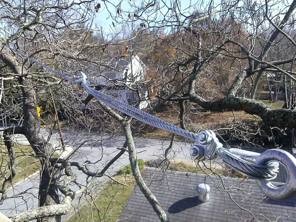 Reliable lawn mowing service in Asheville, NC - Asheville Arborcare