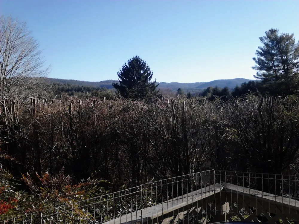 Custom lawn mowing service for homes in Asheville, NC by Asheville Arborcare