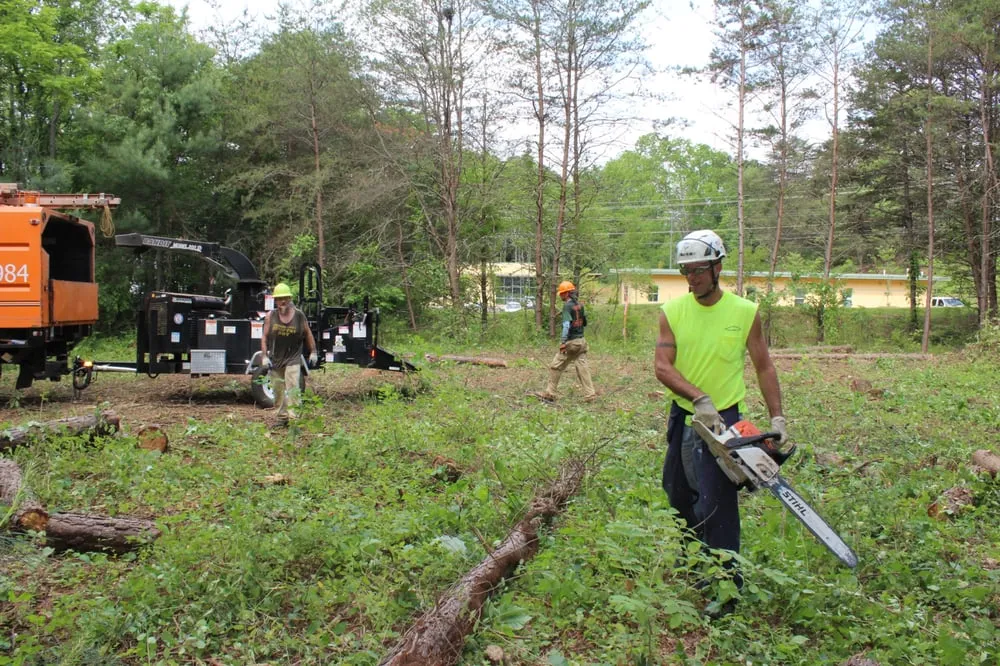 Reliable outdoor landscaping for year-round maintenance in Asheville, NC by Asheville Arborcare