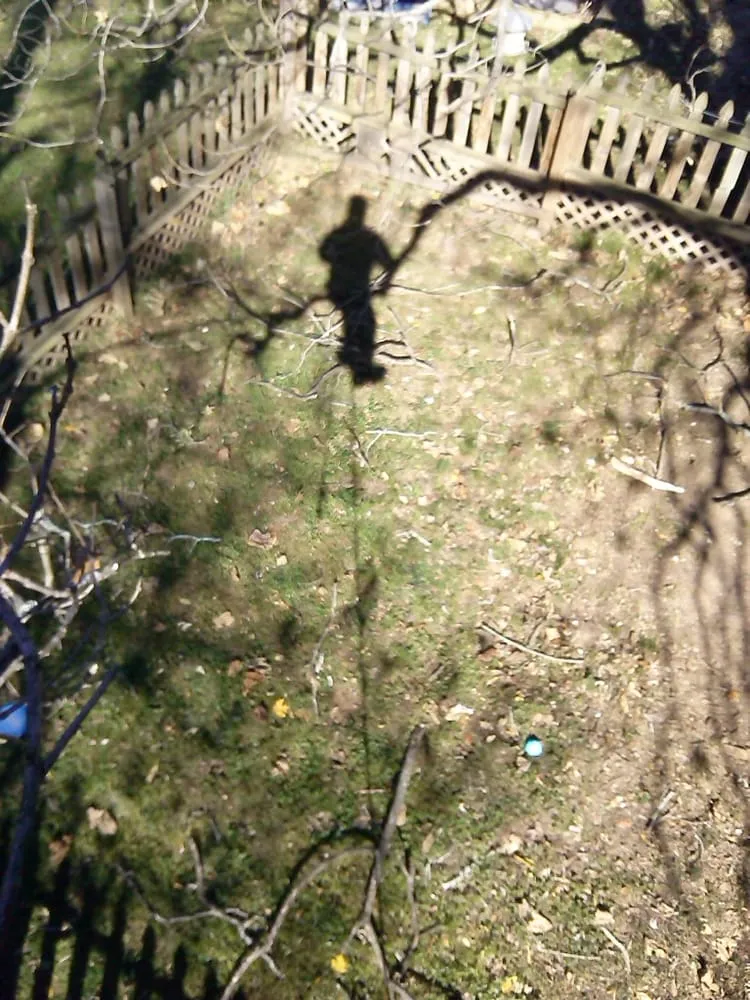 Reliable lawn care service in Asheville, NC by Asheville Arborcare