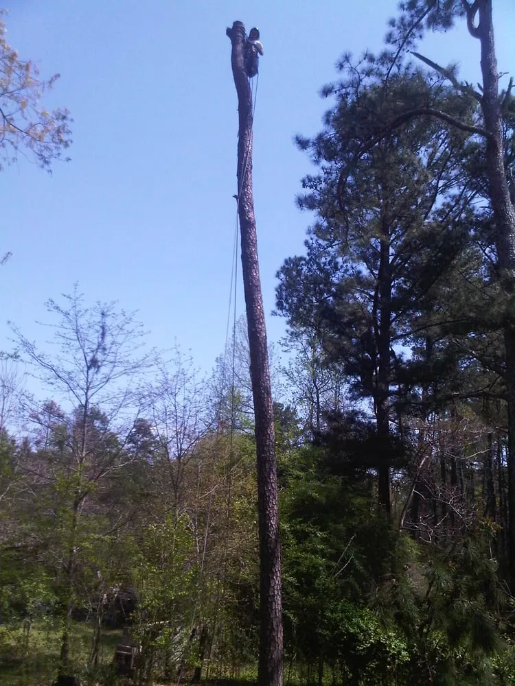 Local lawn mowing service in Asheville, NC by Asheville Arborcare