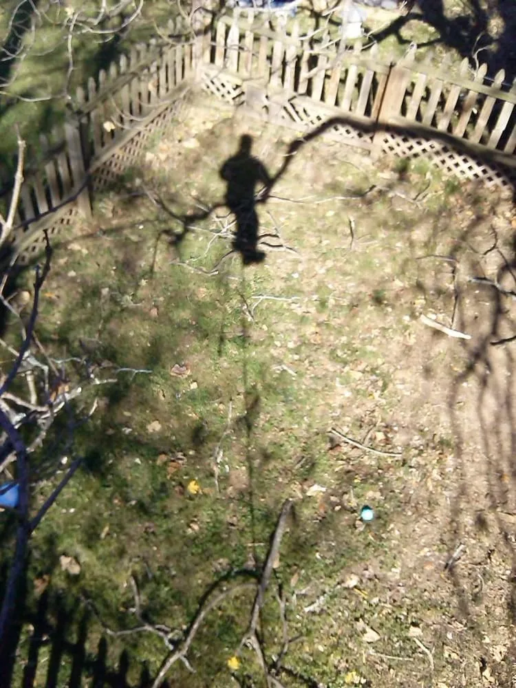 Reliable landscape design in Asheville, NC by Asheville Arborcare